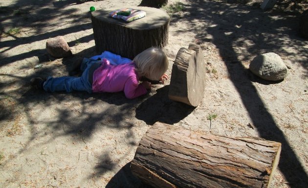 Foto von Waldorfkindergarten Goldwurzel Tempelhof e.V.