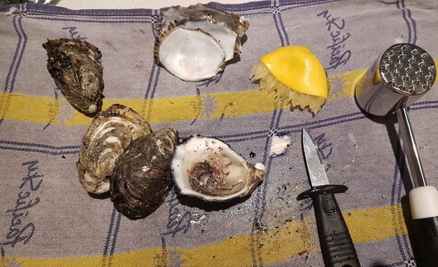 Photo of Sams Oysters