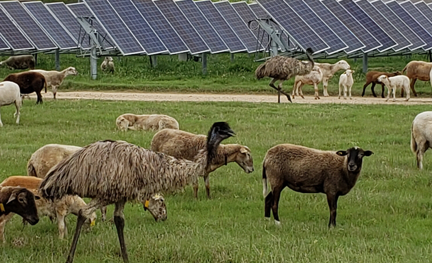 Photo of OCI Solar Power