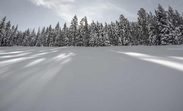 Photo of The Sled Shop