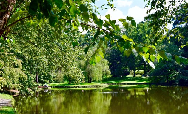 Photo of Duck Pond Park