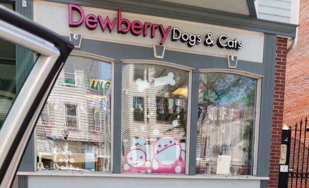 Photo of Dewberry Dogs Spa