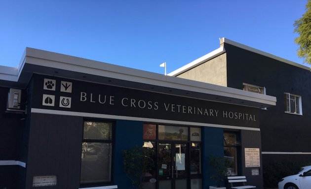 Photo of Blue Cross Veterinary Hospital