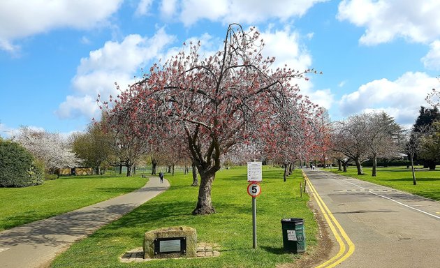 Photo of Seven Kings Park