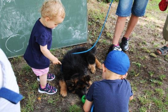 Foto von Hundeplatz