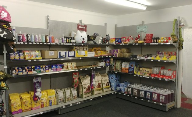 Photo of fluffball dog Grooming and pet supplies.