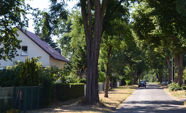 Foto von Trautmann Landschaftsarchitekten