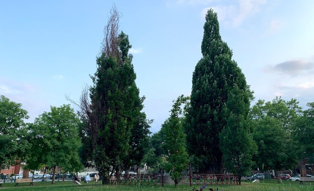 Photo of Parc De Lestre