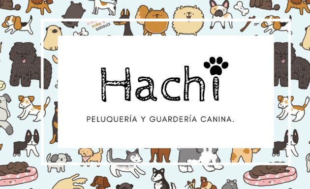 Foto de Hachi Peluquería y Guardería canina