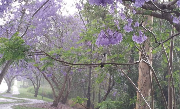 Photo of Arthur Alfred Pointer Park