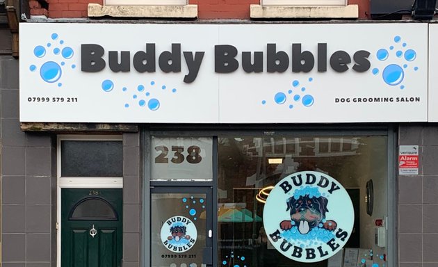 Photo of Buddy Bubbles Dog grooming
