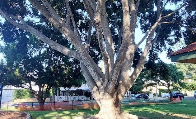 Photo of Gordon Park Playground Park