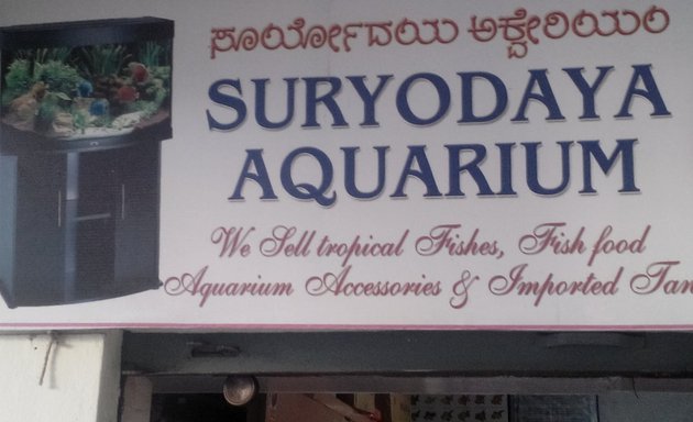 Photo of Suryodaya Aquarium