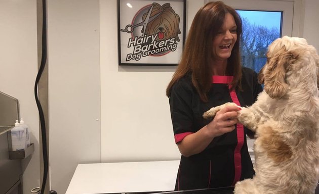 Photo of Hairy Barkers Dog Grooming