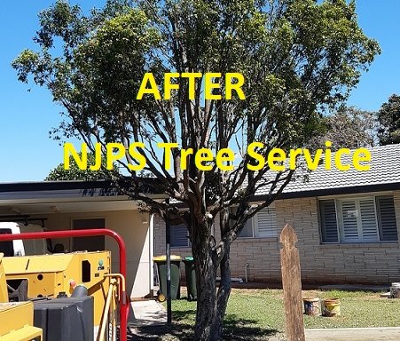 Photo of NJPS Tree Service