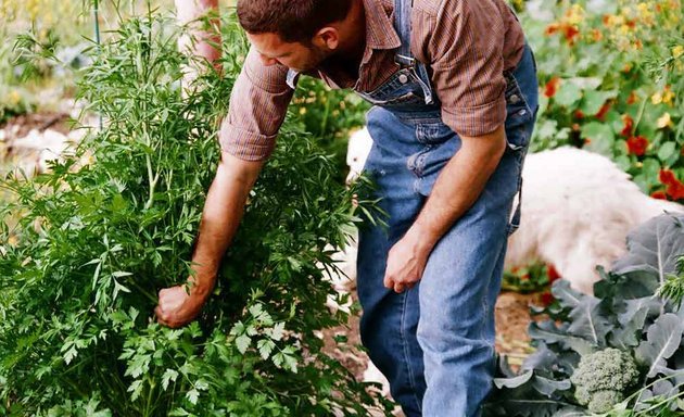 Photo of Gardening To Your Satisfaction