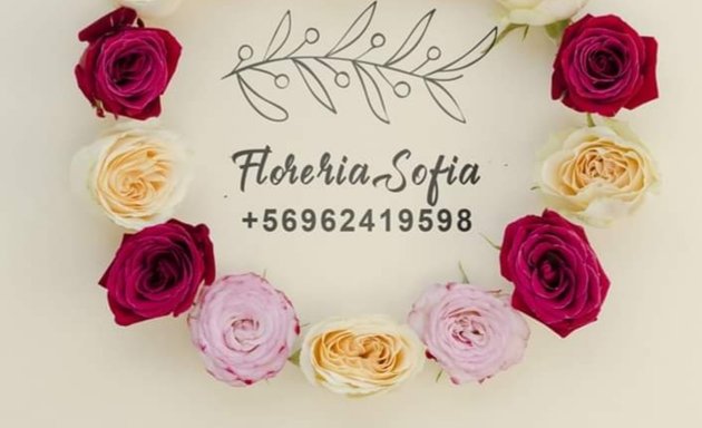Foto de floreria Sofía