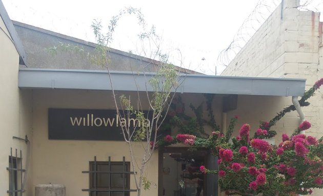 Photo of willowlamp