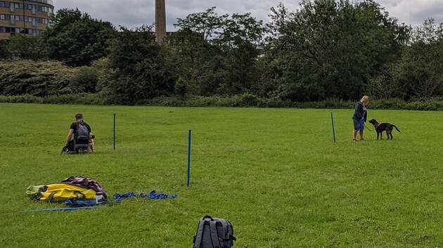 Photo of Gatsby and Poole - Dog Training and Behaviour