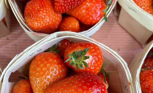 Photo de Fruits et Légumes des 4 Saisons