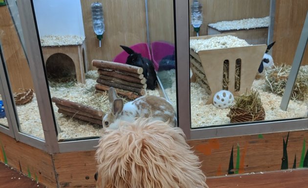 Photo of Pets at Home Meanwood