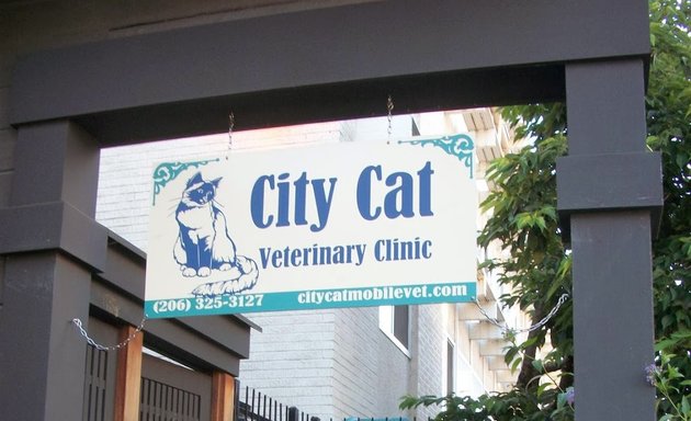 Photo of City Cat Vet Clinic