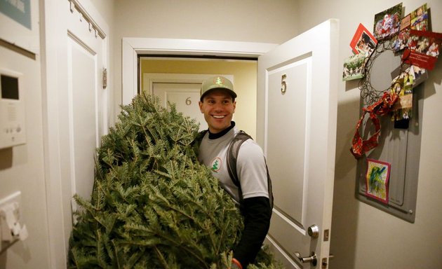 Photo of Christmas Tree For Me: On-Demand Tree Delivery