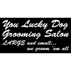 Photo of You Lucky Dog Grooming