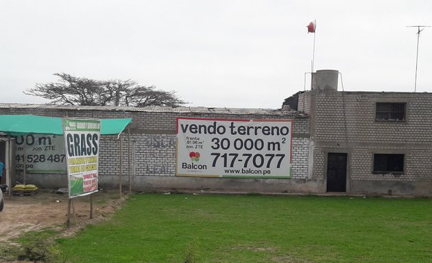 Foto de Jardines y Servicios jk