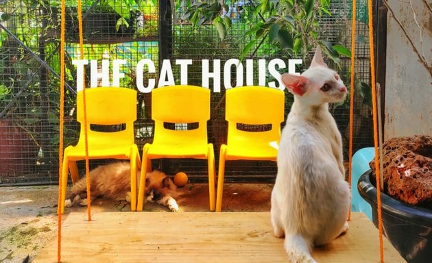Photo of The Cat House