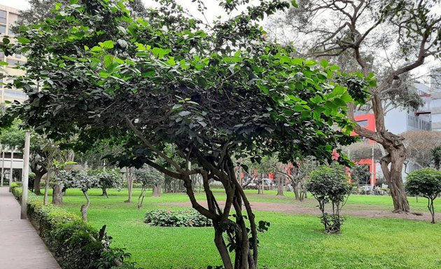 Foto de Parque de la residecial