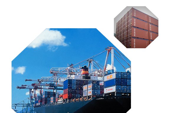 Photo of Marine Container Services India Private Limited