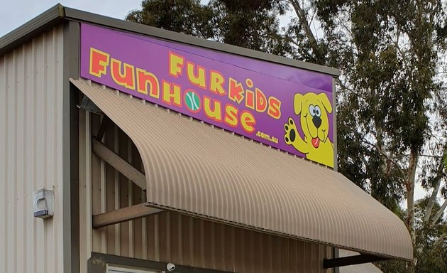 Photo of Furkids Funhouse