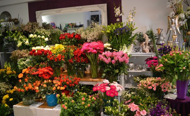 Foto von Mauerblümchen Floristik Kladow