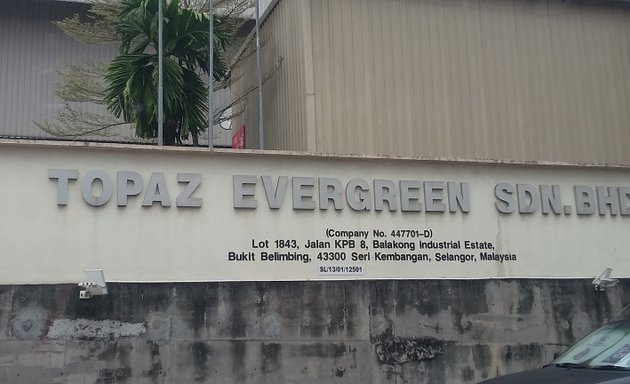 Photo of Topaz Evergreen