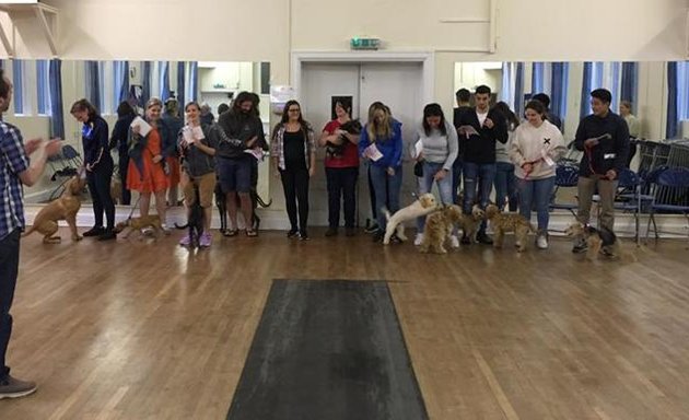 Photo of Liverpool Dog Training