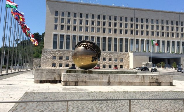 foto Ministero degli Affari Esteri e Cooperazione Internazionale