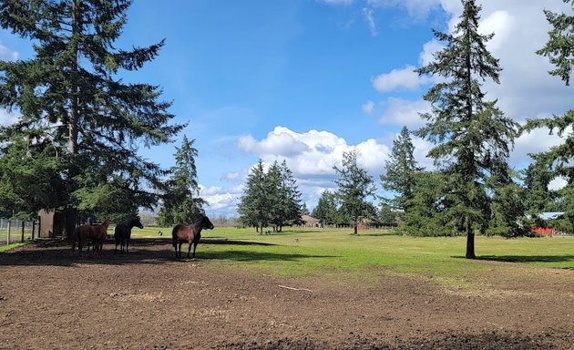 Photo of The Family Ranch
