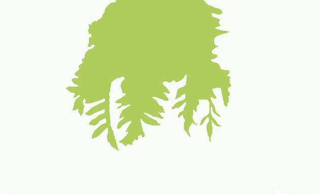 Photo of Green Man Tree Service