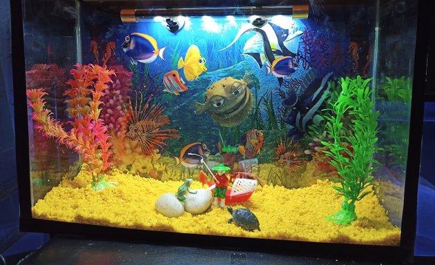Photo of Shree Aqua Culture Aquarium fish shop