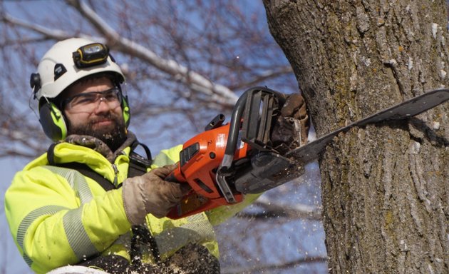 Photo of Stittsville Tree Service