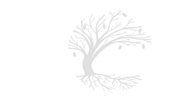 Photo of Philly Tree Cutters