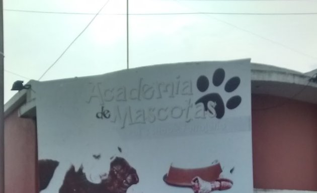 Foto de Academia de Mascotas