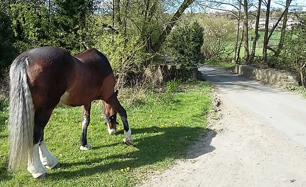 Photo of Bank House Farm Livery Centre