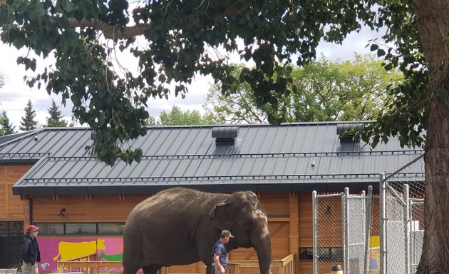 Photo of Valley Zoo Animal habitat