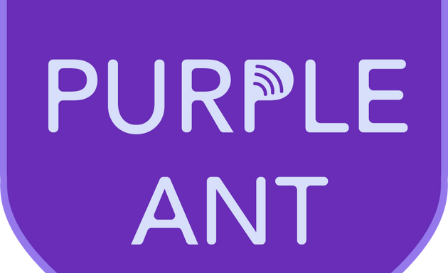 Photo of Purple Ant