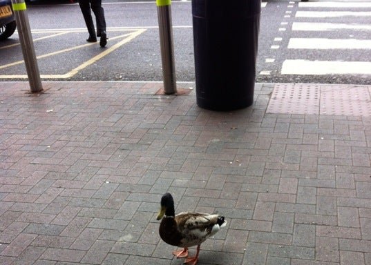 Photo of Tesco Express