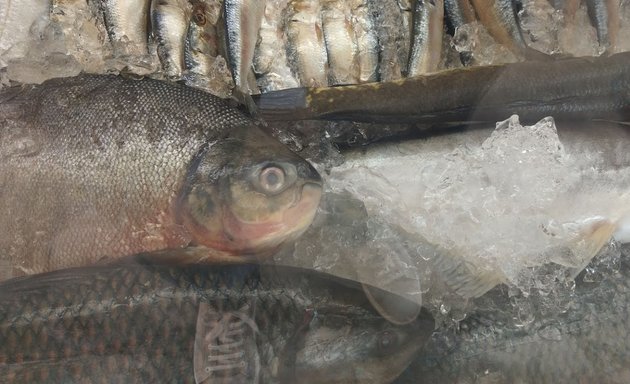 Photo of Adonai Fish Stall