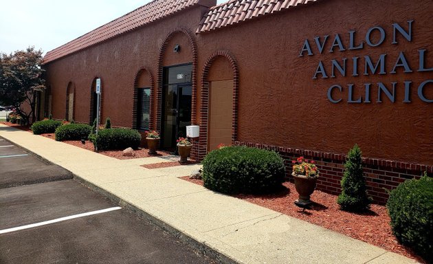 Photo of Avalon Animal Clinic