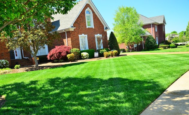 Photo of Alan & Lyn's Lawnmowing